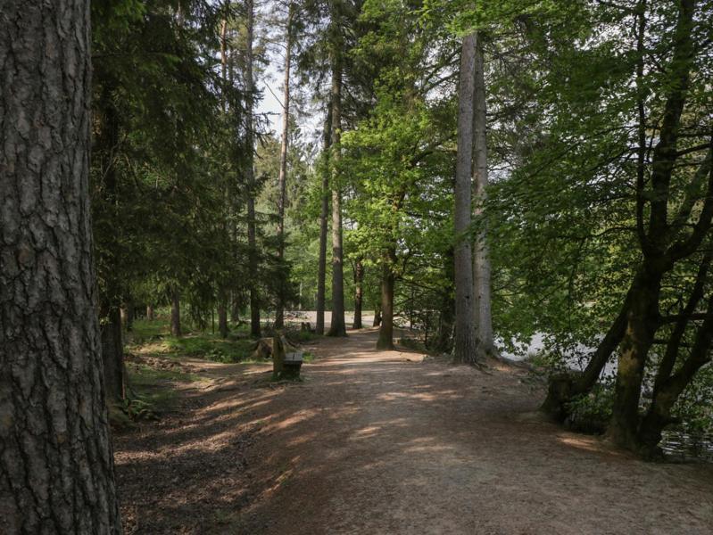 The Forest Coach House Cinderford Ngoại thất bức ảnh